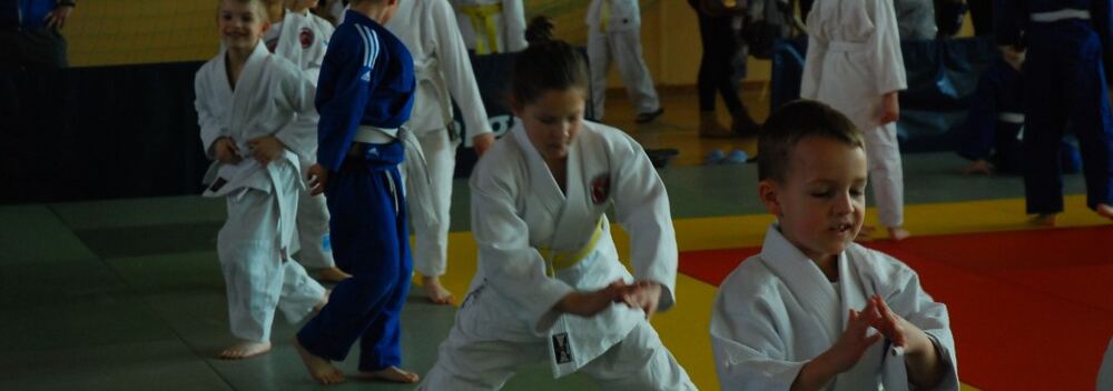 Copernicus Judo Cup- Toruń 16.04.2016 — zdjęcie z archiwum klubu