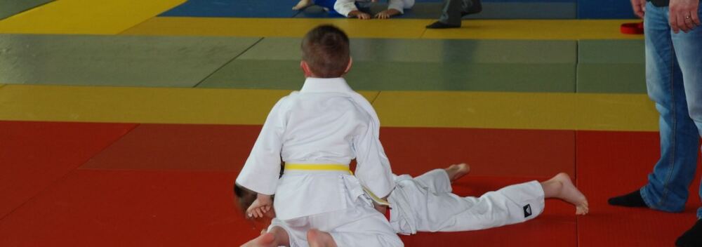 Copernicus Judo Cup- Toruń 16.04.2016 — zdjęcie z archiwum klubu