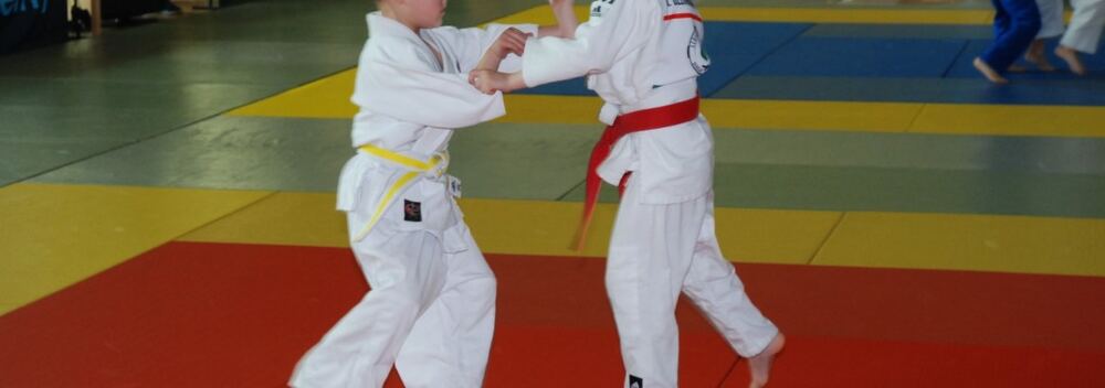 Copernicus Judo Cup- Toruń 16.04.2016 — zdjęcie z archiwum klubu