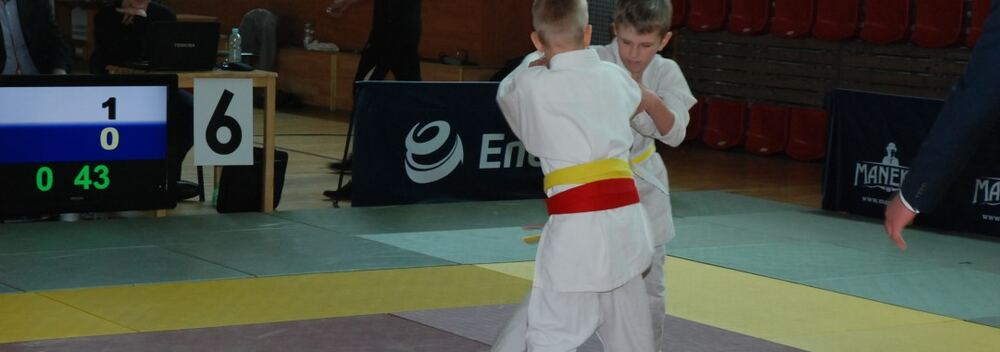 Copernicus Judo Cup- Toruń 16.04.2016 — zdjęcie z archiwum klubu