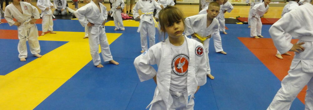 Gdańsk Judo Cup 14.06.2015 — zdjęcie z archiwum klubu