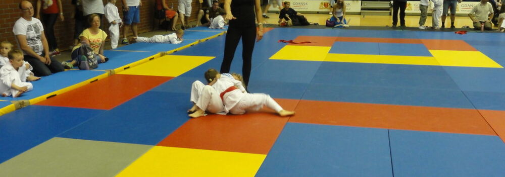 Gdańsk Judo Cup 14.06.2015 — zdjęcie z archiwum klubu