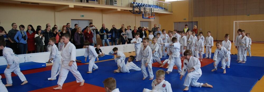 I Mistrzostwa Akademii Judo Dragon – Banino 4.03.2016 — zdjęcie z archiwum klubu