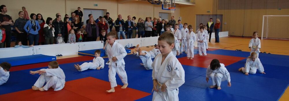I Mistrzostwa Akademii Judo Dragon – Banino 4.03.2016 — zdjęcie z archiwum klubu
