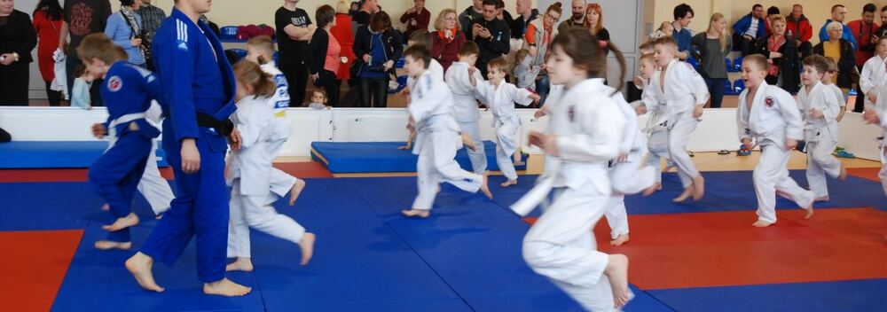 I Mistrzostwa Akademii Judo Dragon – Banino 4.03.2016 — zdjęcie z archiwum klubu