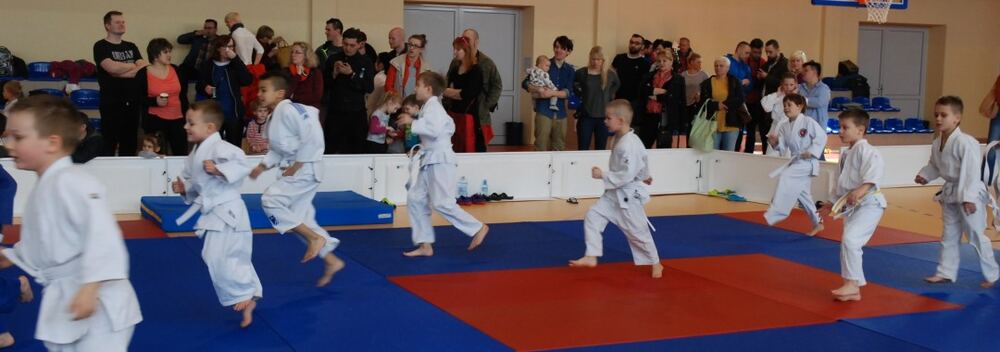 I Mistrzostwa Akademii Judo Dragon – Banino 4.03.2016 — zdjęcie z archiwum klubu