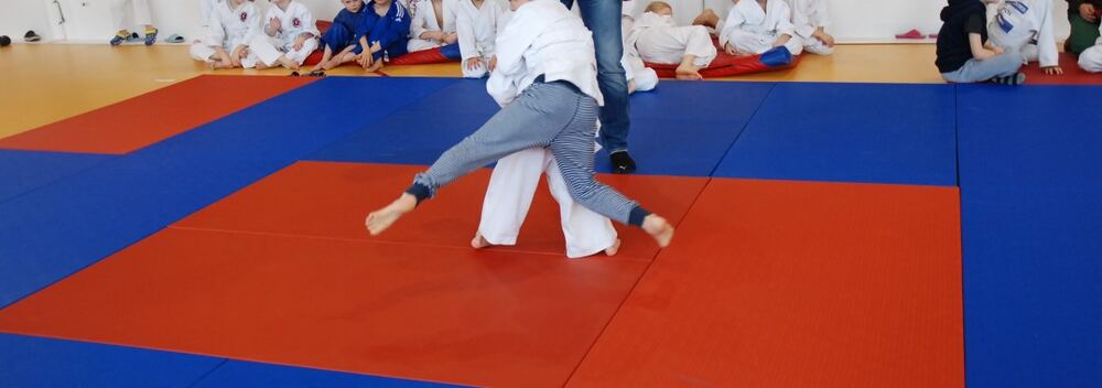 I Mistrzostwa Akademii Judo Dragon – Banino 4.03.2016 — zdjęcie z archiwum klubu
