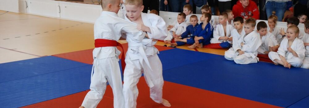 I Mistrzostwa Akademii Judo Dragon – Banino 4.03.2016 — zdjęcie z archiwum klubu