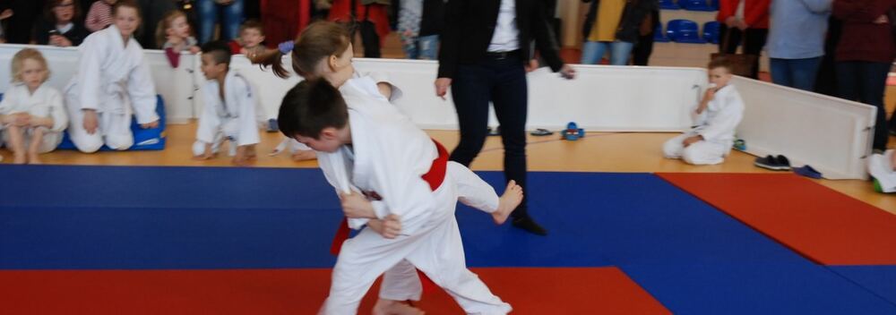 I Mistrzostwa Akademii Judo Dragon – Banino 4.03.2016 — zdjęcie z archiwum klubu