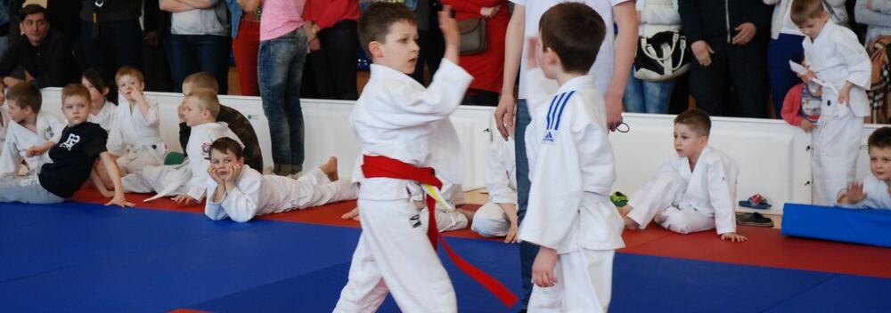 I Mistrzostwa Akademii Judo Dragon – Banino 4.03.2016 — zdjęcie z archiwum klubu