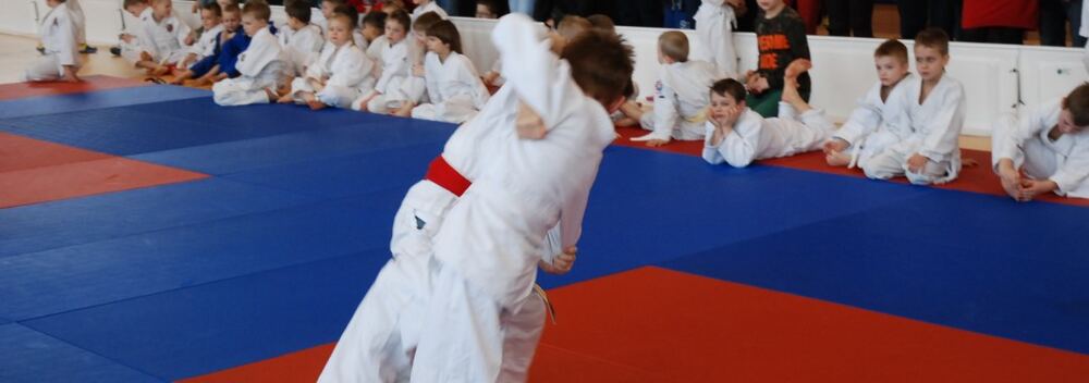 I Mistrzostwa Akademii Judo Dragon – Banino 4.03.2016 — zdjęcie z archiwum klubu