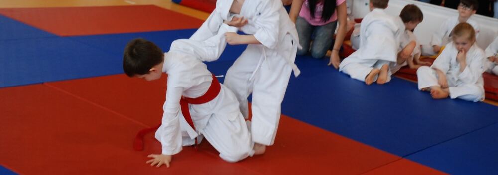 I Mistrzostwa Akademii Judo Dragon – Banino 4.03.2016 — zdjęcie z archiwum klubu
