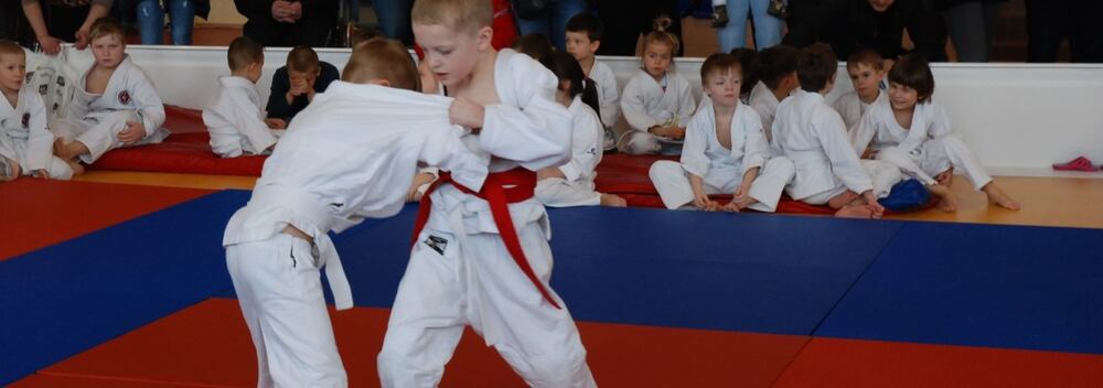 I Mistrzostwa Akademii Judo Dragon – Banino 4.03.2016 — zdjęcie z archiwum klubu