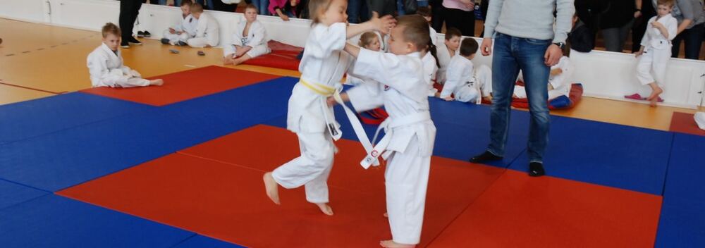 I Mistrzostwa Akademii Judo Dragon – Banino 4.03.2016 — zdjęcie z archiwum klubu