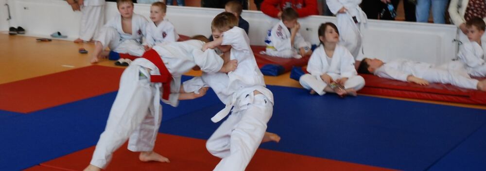 I Mistrzostwa Akademii Judo Dragon – Banino 4.03.2016 — zdjęcie z archiwum klubu