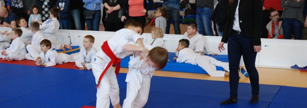 I Mistrzostwa Akademii Judo Dragon – Banino 4.03.2016 — zdjęcie z archiwum klubu