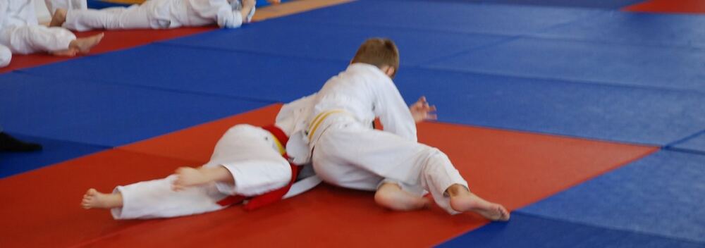 I Mistrzostwa Akademii Judo Dragon – Banino 4.03.2016 — zdjęcie z archiwum klubu