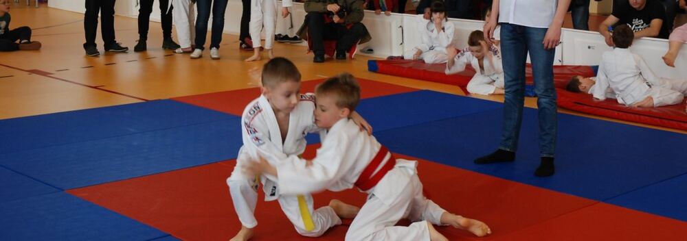 I Mistrzostwa Akademii Judo Dragon – Banino 4.03.2016 — zdjęcie z archiwum klubu