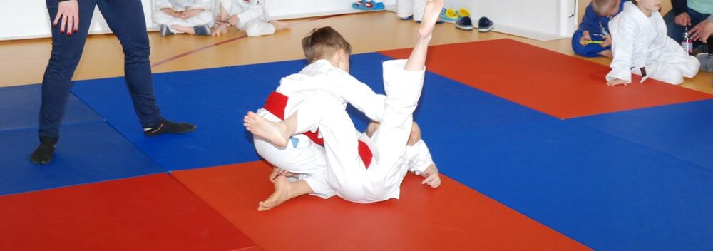I Mistrzostwa Akademii Judo Dragon – Banino 4.03.2016 — zdjęcie z archiwum klubu