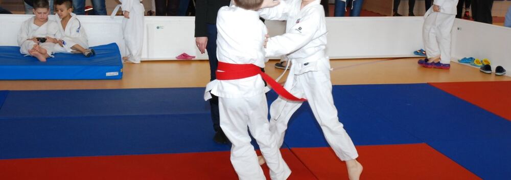 I Mistrzostwa Akademii Judo Dragon – Banino 4.03.2016 — zdjęcie z archiwum klubu