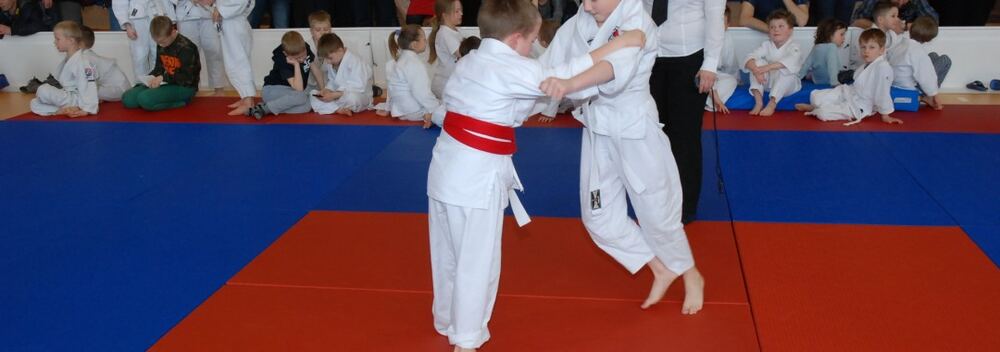 I Mistrzostwa Akademii Judo Dragon – Banino 4.03.2016 — zdjęcie z archiwum klubu