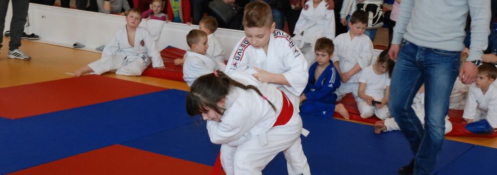 I Mistrzostwa Akademii Judo Dragon – Banino 4.03.2016 — zdjęcie z archiwum klubu