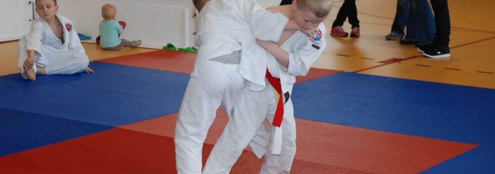 I Mistrzostwa Akademii Judo Dragon – Banino 4.03.2016 — zdjęcie z archiwum klubu