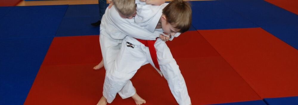 I Mistrzostwa Akademii Judo Dragon – Banino 4.03.2016 — zdjęcie z archiwum klubu