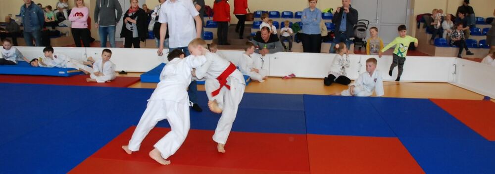 I Mistrzostwa Akademii Judo Dragon – Banino 4.03.2016 — zdjęcie z archiwum klubu