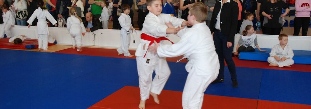 I Mistrzostwa Akademii Judo Dragon – Banino 4.03.2016 — zdjęcie z archiwum klubu