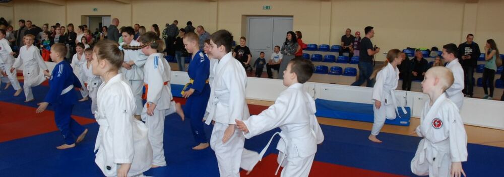 I Mistrzostwa Akademii Judo Dragon – Banino 4.03.2016 — zdjęcie z archiwum klubu