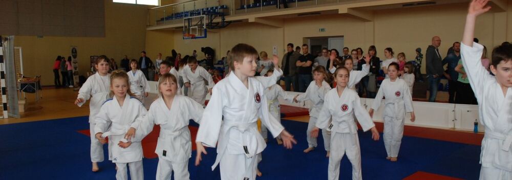 I Mistrzostwa Akademii Judo Dragon – Banino 4.03.2016 — zdjęcie z archiwum klubu