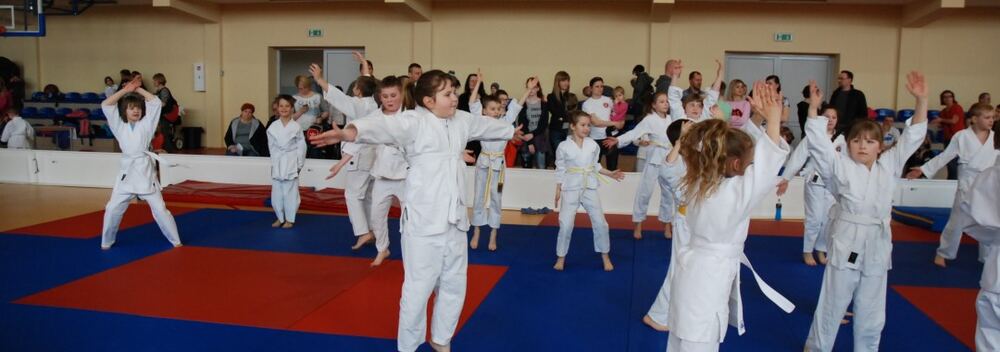I Mistrzostwa Akademii Judo Dragon – Banino 4.03.2016 — zdjęcie z archiwum klubu