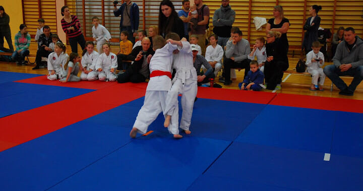 I Mistrzostwa Obłuża w Judo 19.12.2015 — zdjęcie z archiwum klubu