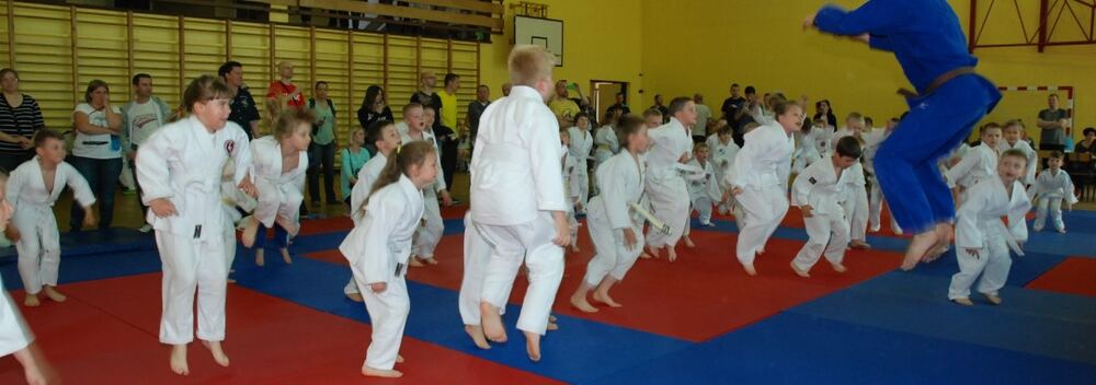 I Mistrzostwa Pogórza Dzieci w Judo – 22.05.2016 — zdjęcie z archiwum klubu