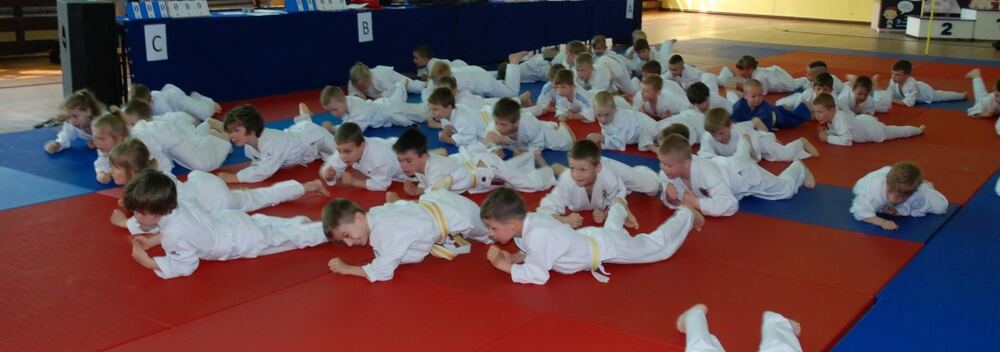 I Mistrzostwa Pogórza Dzieci w Judo – 22.05.2016 — zdjęcie z archiwum klubu
