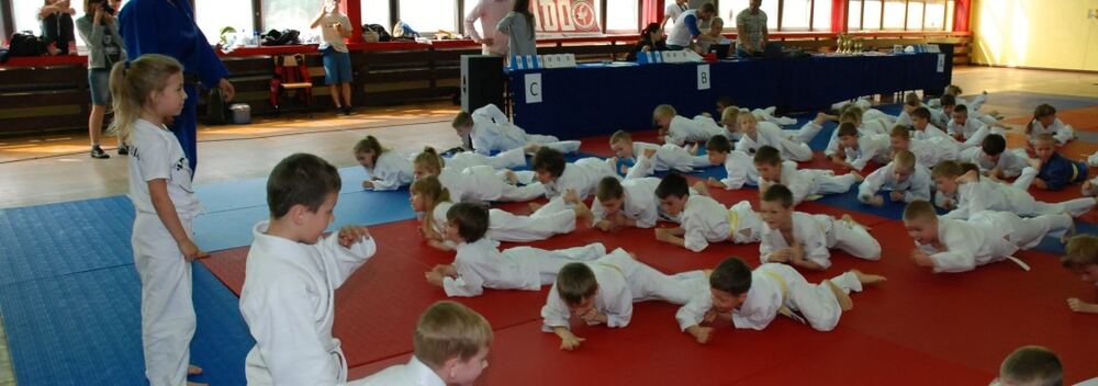 I Mistrzostwa Pogórza Dzieci w Judo – 22.05.2016 — zdjęcie z archiwum klubu