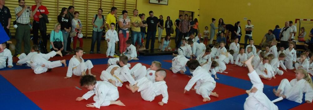 I Mistrzostwa Pogórza Dzieci w Judo – 22.05.2016 — zdjęcie z archiwum klubu