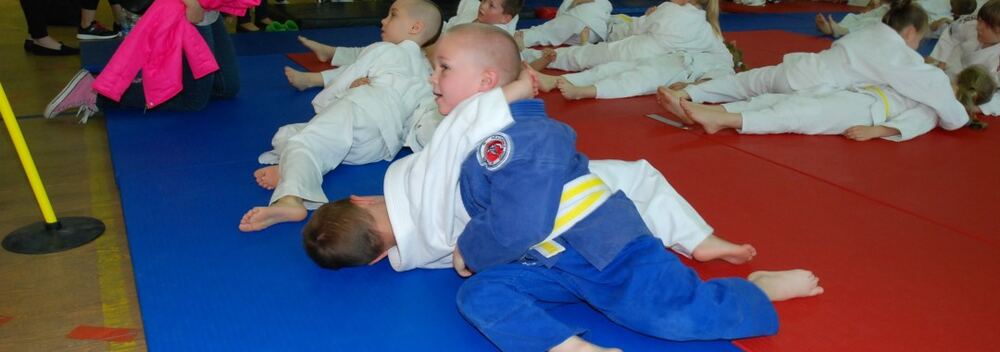 I Mistrzostwa Pogórza Dzieci w Judo – 22.05.2016 — zdjęcie z archiwum klubu