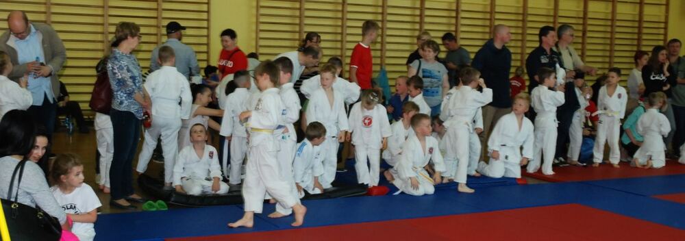 I Mistrzostwa Pogórza Dzieci w Judo – 22.05.2016 — zdjęcie z archiwum klubu