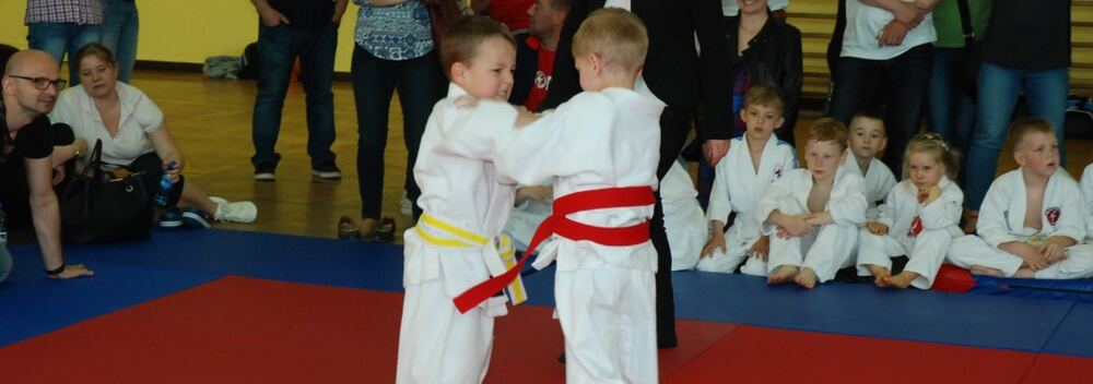 I Mistrzostwa Pogórza Dzieci w Judo – 22.05.2016 — zdjęcie z archiwum klubu
