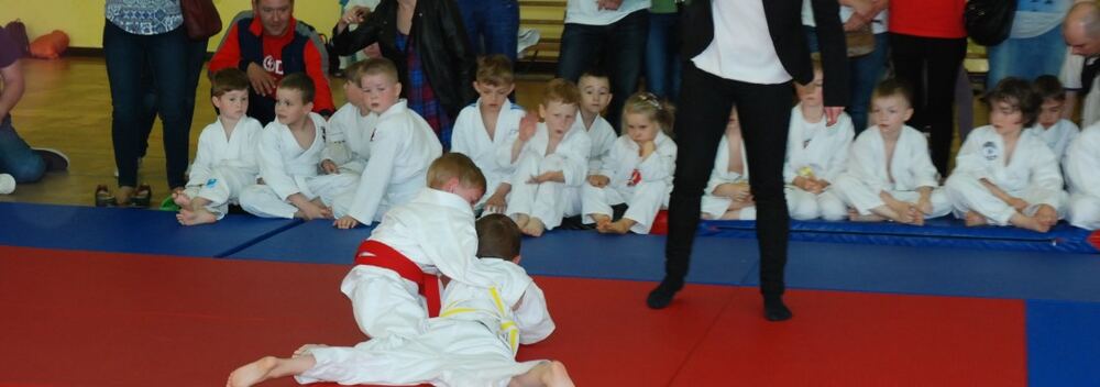 I Mistrzostwa Pogórza Dzieci w Judo – 22.05.2016 — zdjęcie z archiwum klubu