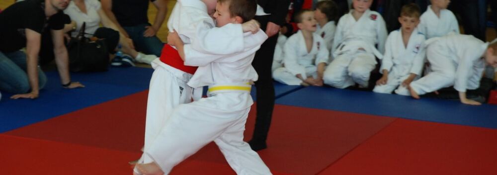 I Mistrzostwa Pogórza Dzieci w Judo – 22.05.2016 — zdjęcie z archiwum klubu