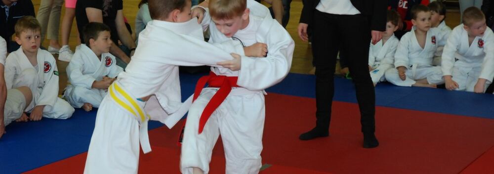 I Mistrzostwa Pogórza Dzieci w Judo – 22.05.2016 — zdjęcie z archiwum klubu