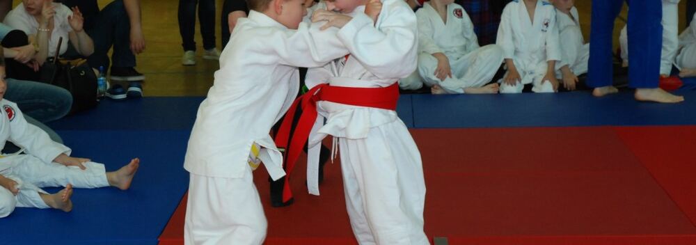 I Mistrzostwa Pogórza Dzieci w Judo – 22.05.2016 — zdjęcie z archiwum klubu