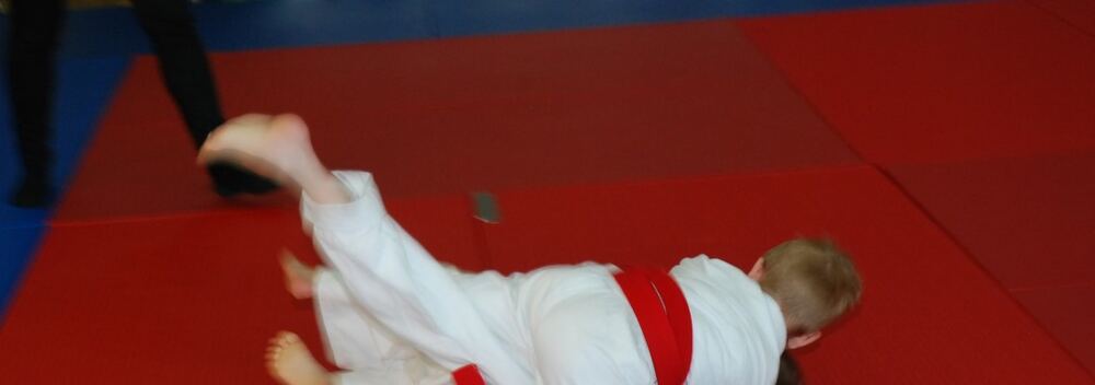 I Mistrzostwa Pogórza Dzieci w Judo – 22.05.2016 — zdjęcie z archiwum klubu
