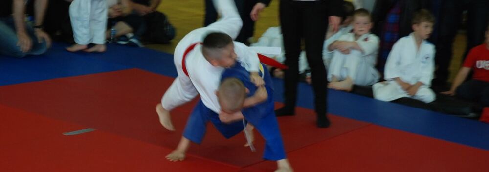 I Mistrzostwa Pogórza Dzieci w Judo – 22.05.2016 — zdjęcie z archiwum klubu