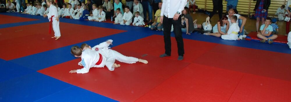 I Mistrzostwa Pogórza Dzieci w Judo – 22.05.2016 — zdjęcie z archiwum klubu