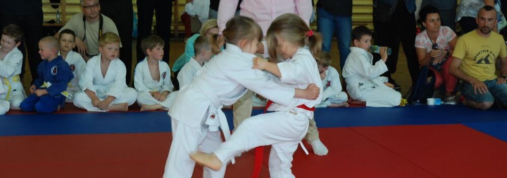 I Mistrzostwa Pogórza Dzieci w Judo – 22.05.2016 — zdjęcie z archiwum klubu