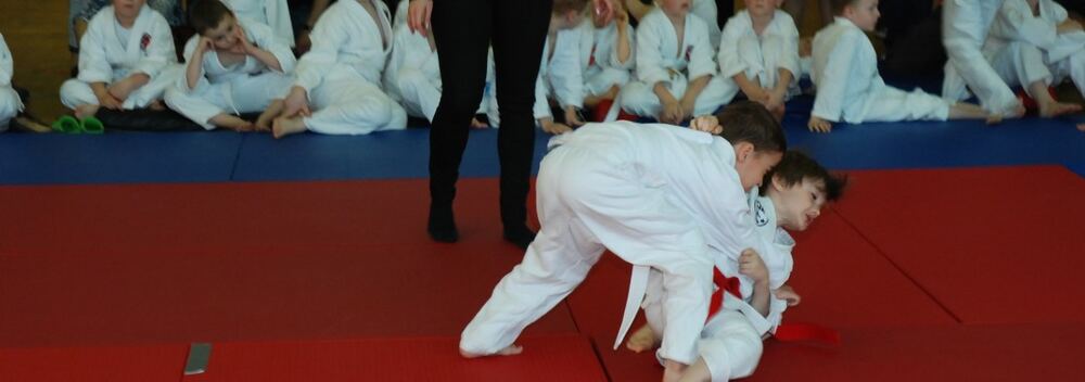 I Mistrzostwa Pogórza Dzieci w Judo – 22.05.2016 — zdjęcie z archiwum klubu